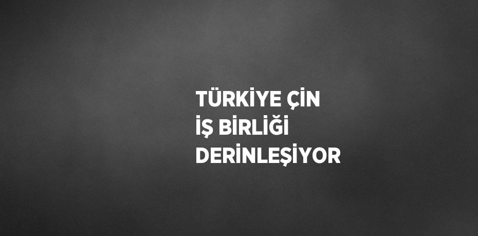 TÜRKİYE ÇİN İŞ BİRLİĞİ DERİNLEŞİYOR