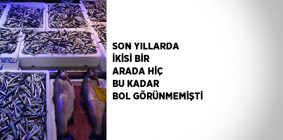 SON YILLARDA İKİSİ BİR ARADA HİÇ BU KADAR BOL GÖRÜNMEMİŞTİ