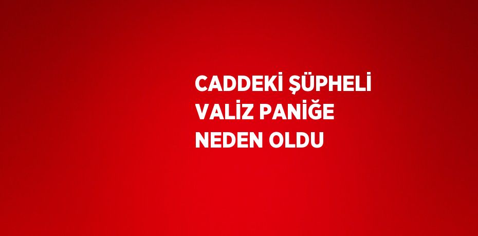 CADDEKİ ŞÜPHELİ VALİZ PANİĞE NEDEN OLDU