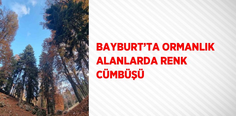 BAYBURT’TA ORMANLIK ALANLARDA RENK CÜMBÜŞÜ