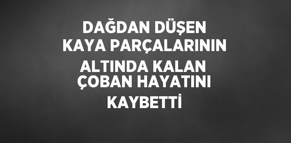 DAĞDAN DÜŞEN KAYA PARÇALARININ ALTINDA KALAN ÇOBAN HAYATINI KAYBETTİ