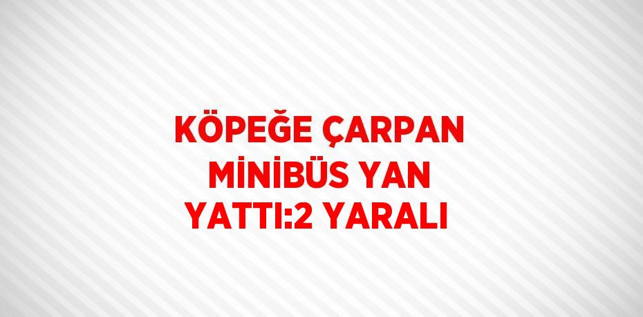 KÖPEĞE ÇARPAN MİNİBÜS YAN YATTI:2 YARALI