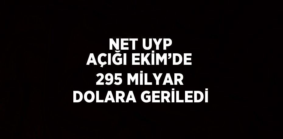 NET UYP AÇIĞI EKİM’DE 295 MİLYAR DOLARA GERİLEDİ