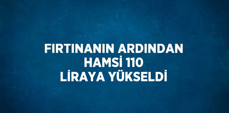 FIRTINANIN ARDINDAN HAMSİ 110 LİRAYA YÜKSELDİ