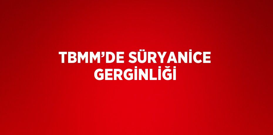 TBMM’DE SÜRYANİCE GERGİNLİĞİ