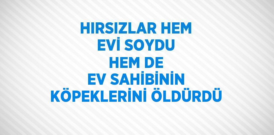 HIRSIZLAR HEM EVİ SOYDU HEM DE EV SAHİBİNİN KÖPEKLERİNİ ÖLDÜRDÜ