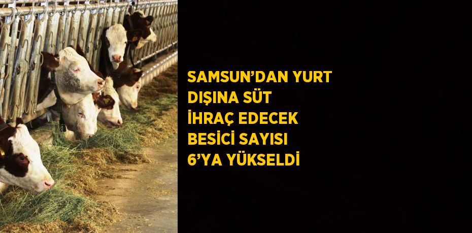 SAMSUN’DAN YURT DIŞINA SÜT İHRAÇ EDECEK BESİCİ SAYISI 6’YA YÜKSELDİ