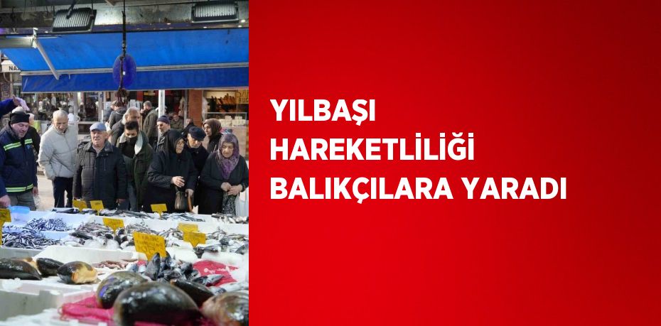 YILBAŞI HAREKETLİLİĞİ BALIKÇILARA YARADI