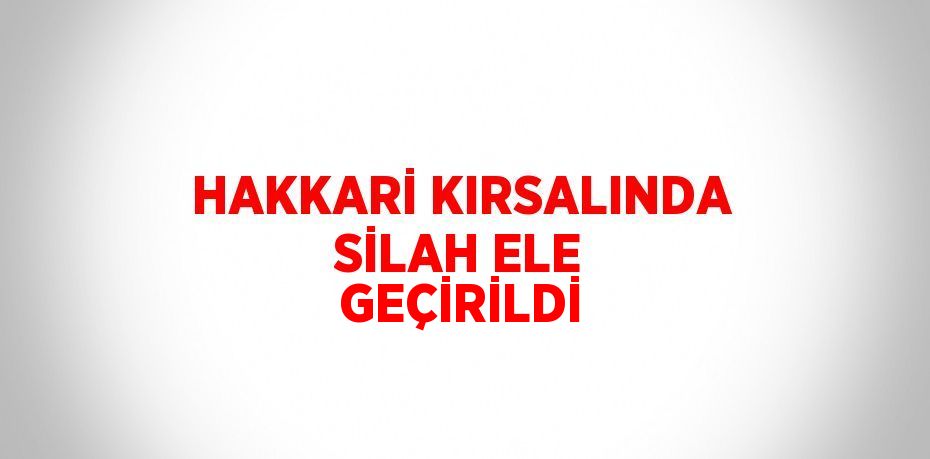 HAKKARİ KIRSALINDA SİLAH ELE GEÇİRİLDİ