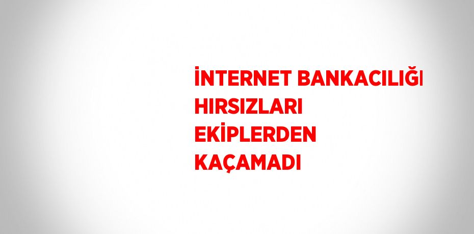 İNTERNET BANKACILIĞI HIRSIZLARI EKİPLERDEN KAÇAMADI