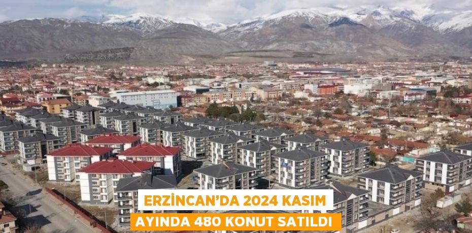 ERZİNCAN’DA 2024 KASIM AYINDA 480 KONUT SATILDI