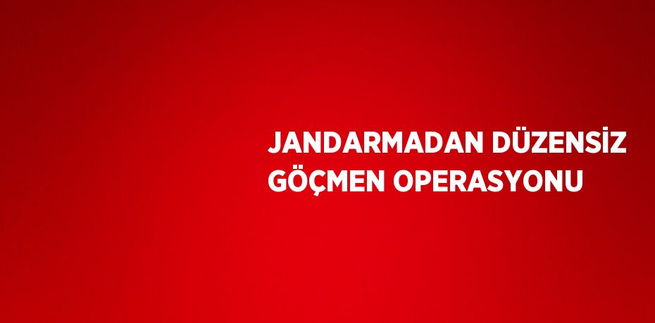 JANDARMADAN DÜZENSİZ GÖÇMEN OPERASYONU