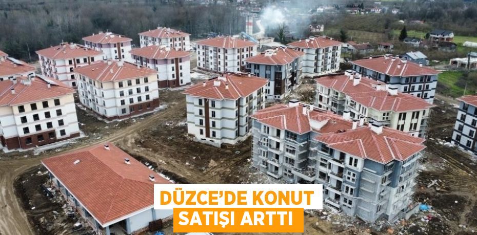 DÜZCE’DE KONUT SATIŞI ARTTI