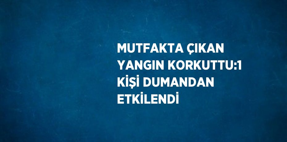 MUTFAKTA ÇIKAN YANGIN KORKUTTU:1 KİŞİ DUMANDAN ETKİLENDİ