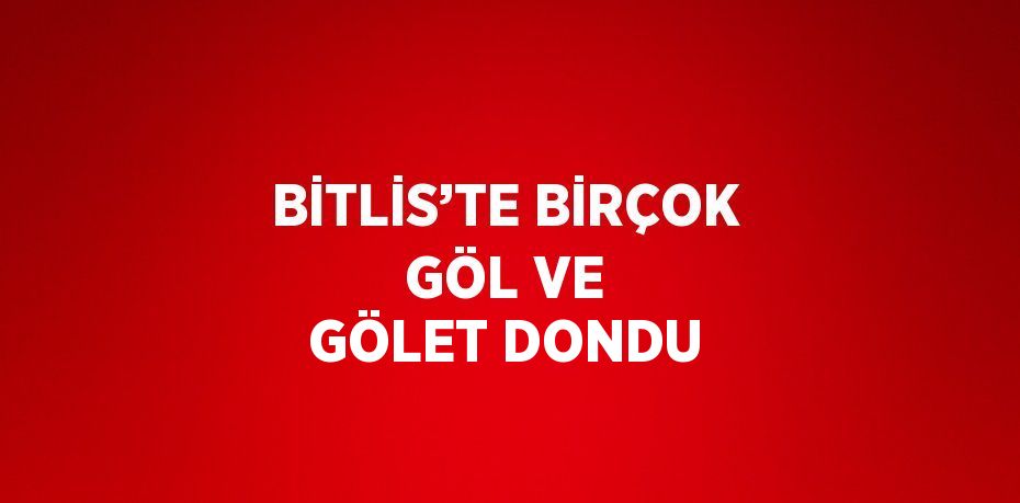 BİTLİS’TE BİRÇOK GÖL VE GÖLET DONDU