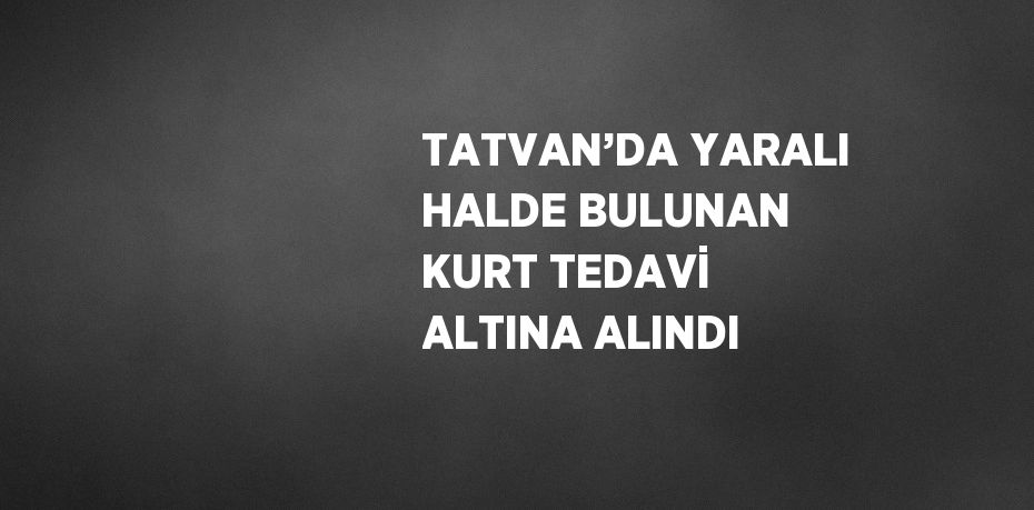 TATVAN’DA YARALI HALDE BULUNAN KURT TEDAVİ ALTINA ALINDI