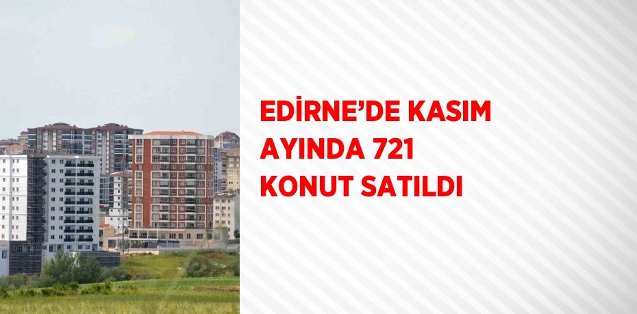 EDİRNE’DE KASIM AYINDA 721 KONUT SATILDI