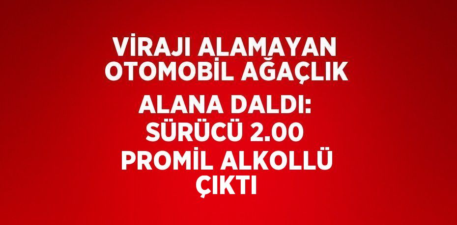 VİRAJI ALAMAYAN OTOMOBİL AĞAÇLIK ALANA DALDI: SÜRÜCÜ 2.00 PROMİL ALKOLLÜ ÇIKTI