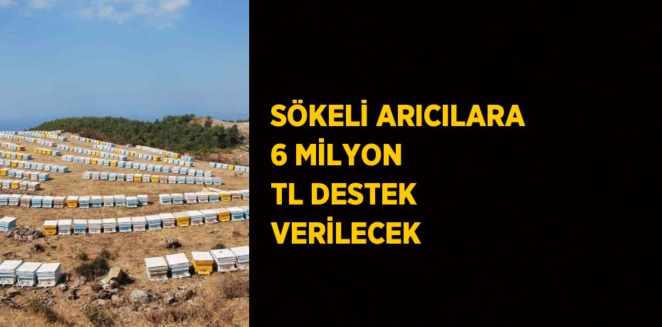 SÖKELİ ARICILARA 6 MİLYON TL DESTEK VERİLECEK