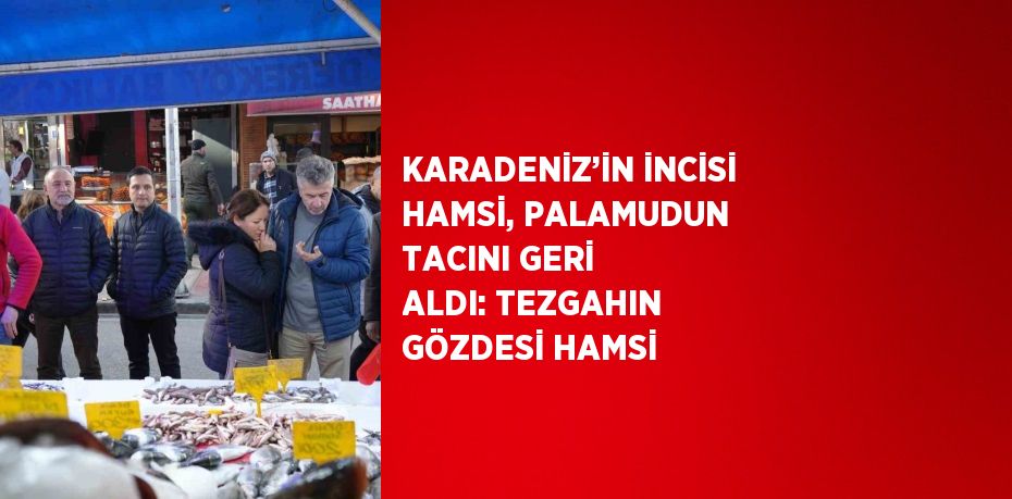 KARADENİZ’İN İNCİSİ HAMSİ, PALAMUDUN TACINI GERİ ALDI: TEZGAHIN GÖZDESİ HAMSİ