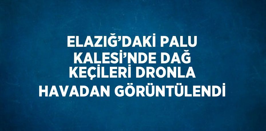 ELAZIĞ’DAKİ PALU KALESİ’NDE DAĞ KEÇİLERİ DRONLA HAVADAN GÖRÜNTÜLENDİ