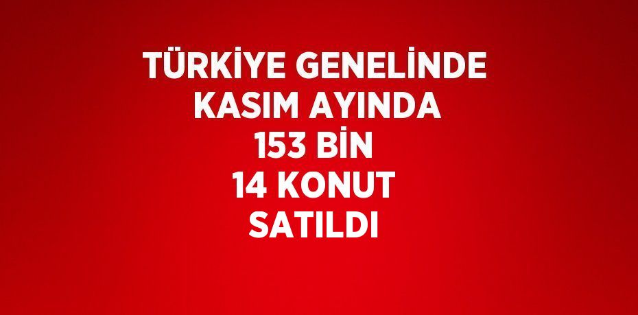 TÜRKİYE GENELİNDE KASIM AYINDA 153 BİN 14 KONUT SATILDI