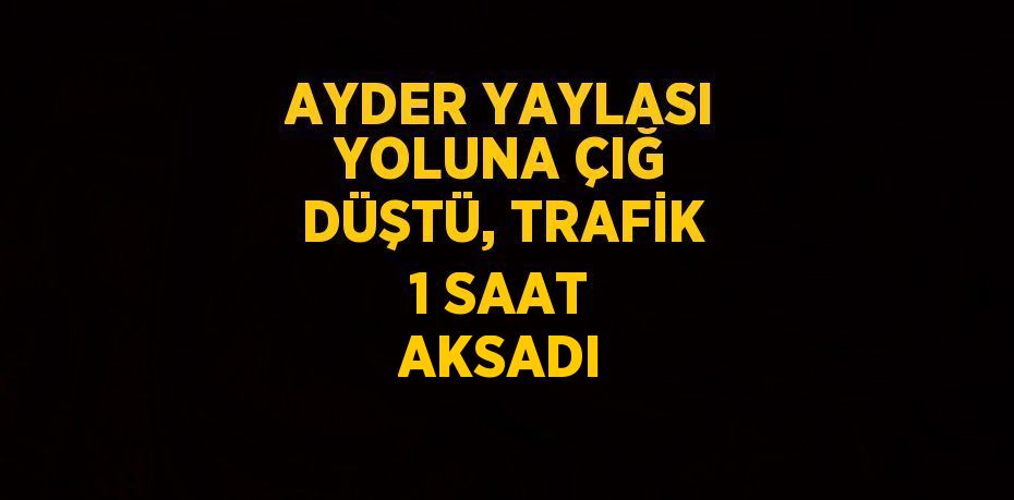 AYDER YAYLASI YOLUNA ÇIĞ DÜŞTÜ, TRAFİK 1 SAAT AKSADI