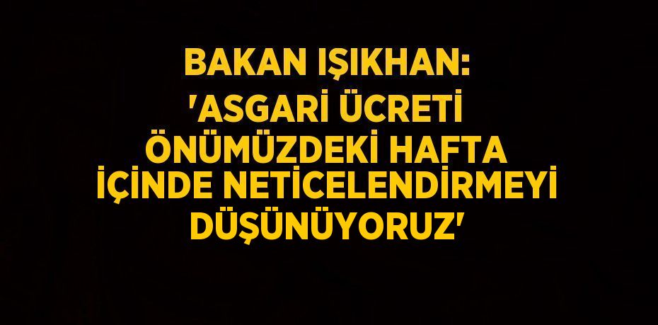 BAKAN IŞIKHAN: 'ASGARİ ÜCRETİ ÖNÜMÜZDEKİ HAFTA İÇİNDE NETİCELENDİRMEYİ DÜŞÜNÜYORUZ'