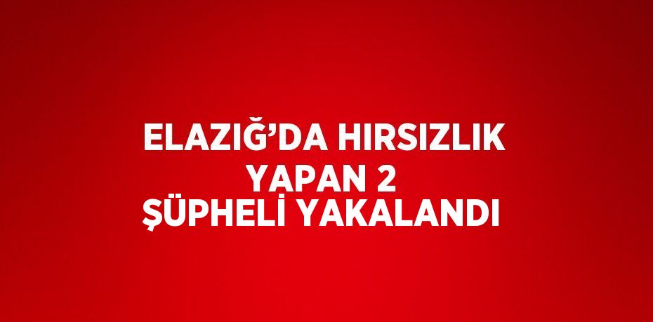 ELAZIĞ’DA HIRSIZLIK YAPAN 2 ŞÜPHELİ YAKALANDI