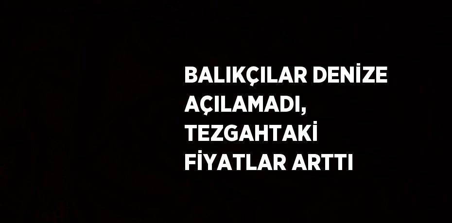 BALIKÇILAR DENİZE AÇILAMADI, TEZGAHTAKİ FİYATLAR ARTTI