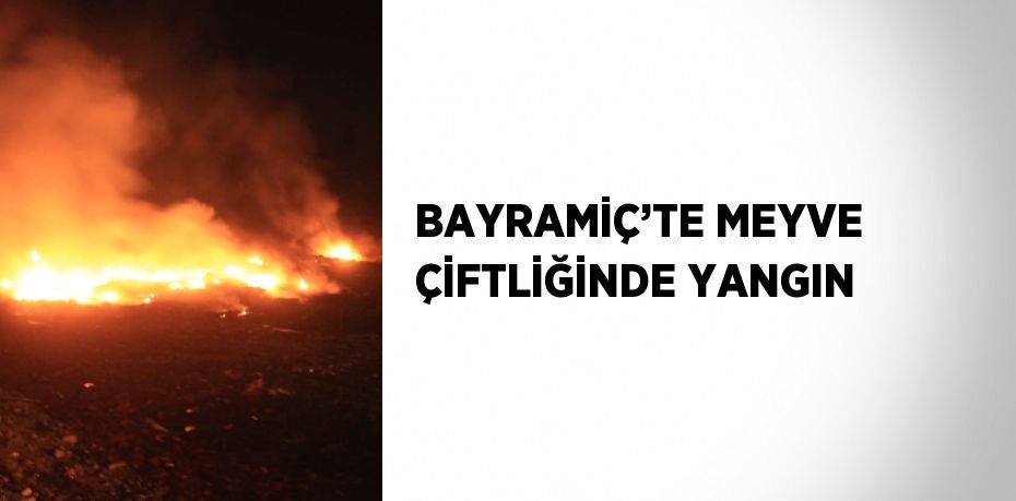 BAYRAMİÇ’TE MEYVE ÇİFTLİĞİNDE YANGIN