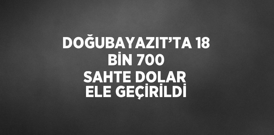 DOĞUBAYAZIT’TA 18 BİN 700 SAHTE DOLAR ELE GEÇİRİLDİ