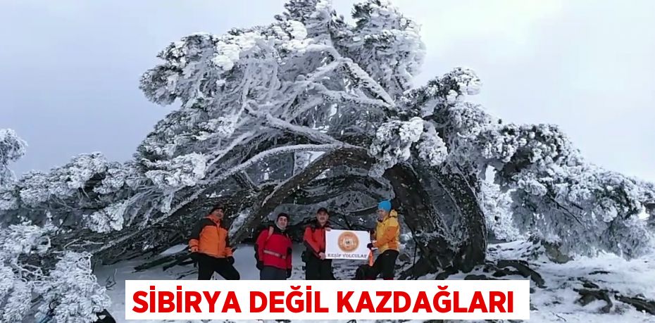 SİBİRYA DEĞİL KAZDAĞLARI