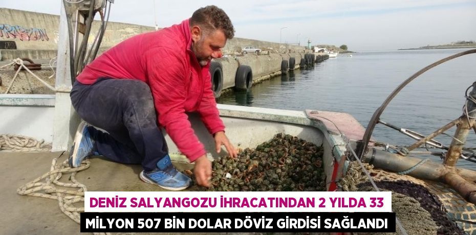 Deniz salyangozu ihracatından 2 yılda 33 milyon 507 bin dolar döviz girdisi sağlandı