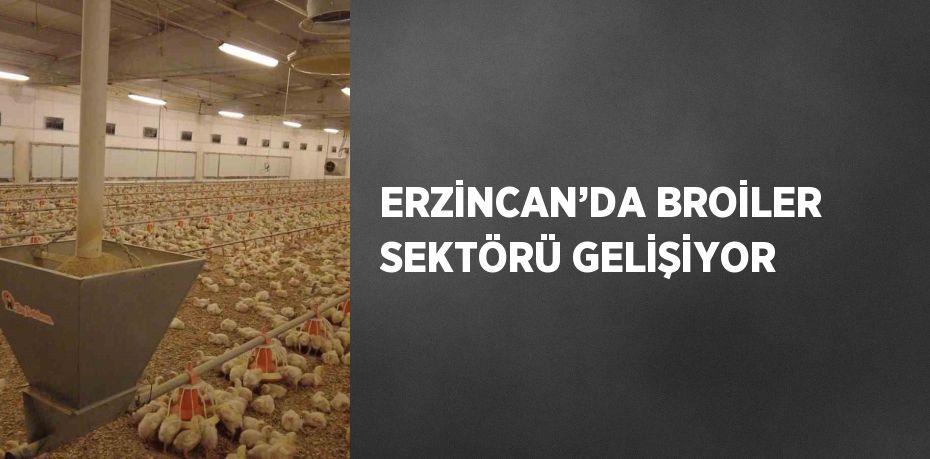 ERZİNCAN’DA BROİLER SEKTÖRÜ GELİŞİYOR