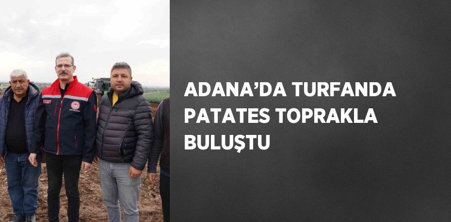 ADANA’DA TURFANDA PATATES TOPRAKLA BULUŞTU