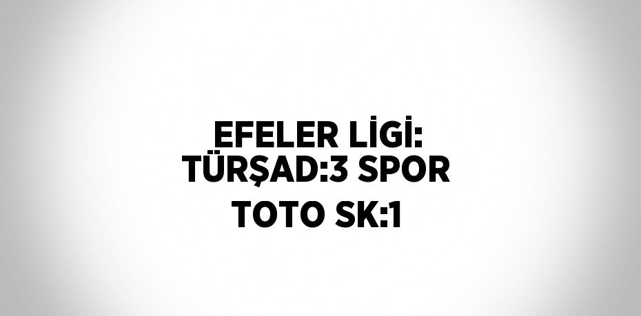 EFELER LİGİ: TÜRŞAD:3 SPOR TOTO SK:1