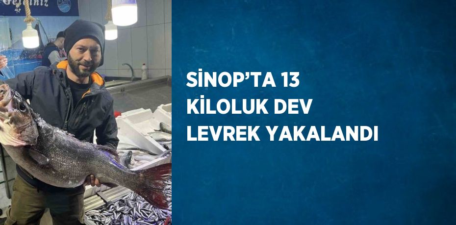 SİNOP’TA 13 KİLOLUK DEV LEVREK YAKALANDI