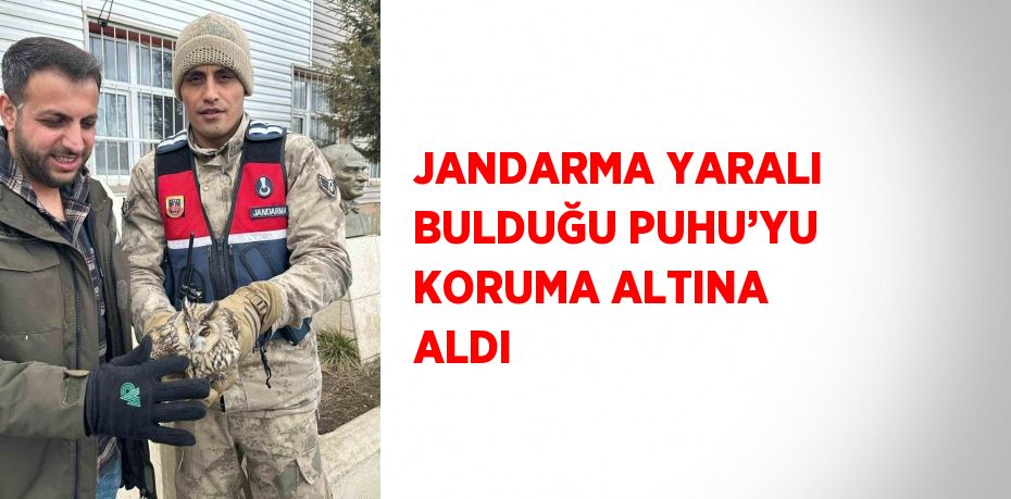 JANDARMA YARALI BULDUĞU PUHU’YU KORUMA ALTINA ALDI