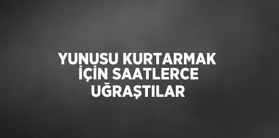 YUNUSU KURTARMAK İÇİN SAATLERCE UĞRAŞTILAR