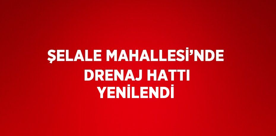 ŞELALE MAHALLESİ’NDE DRENAJ HATTI YENİLENDİ