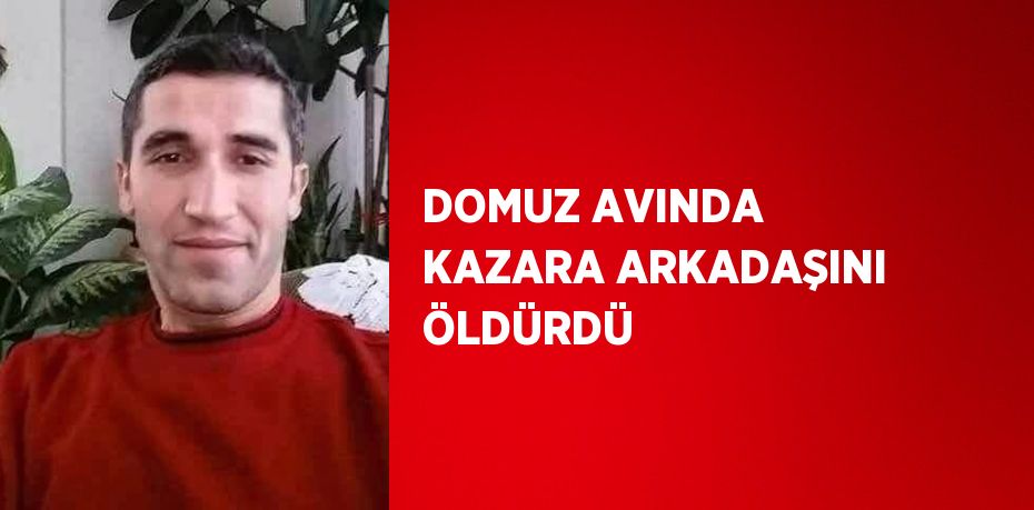 DOMUZ AVINDA KAZARA ARKADAŞINI ÖLDÜRDÜ