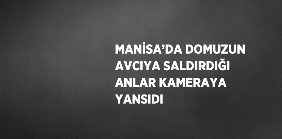 MANİSA’DA DOMUZUN AVCIYA SALDIRDIĞI ANLAR KAMERAYA YANSIDI