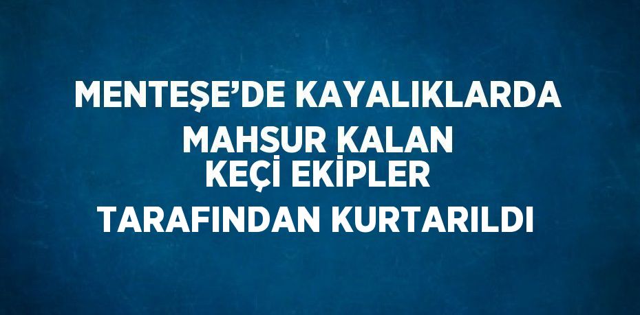 MENTEŞE’DE KAYALIKLARDA MAHSUR KALAN KEÇİ EKİPLER TARAFINDAN KURTARILDI