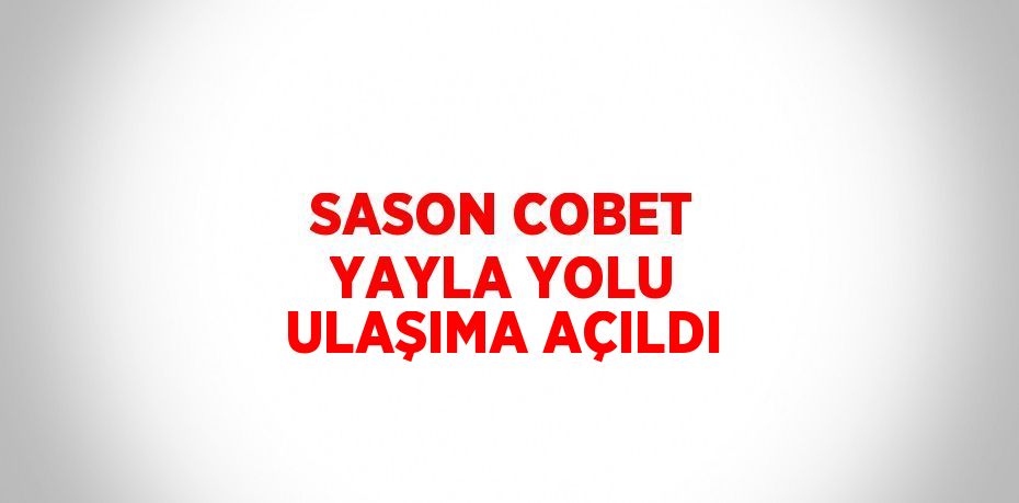 SASON COBET YAYLA YOLU ULAŞIMA AÇILDI