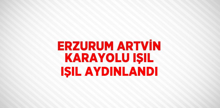 ERZURUM ARTVİN KARAYOLU IŞIL IŞIL AYDINLANDI