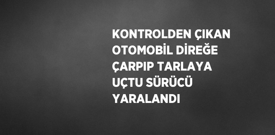 KONTROLDEN ÇIKAN OTOMOBİL DİREĞE ÇARPIP TARLAYA UÇTU SÜRÜCÜ YARALANDI