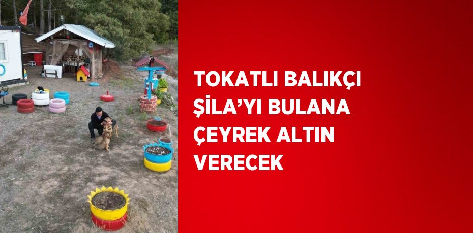 TOKATLI BALIKÇI ŞİLA’YI BULANA ÇEYREK ALTIN VERECEK