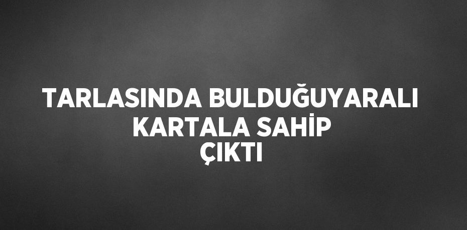 TARLASINDA BULDUĞUYARALI KARTALA SAHİP ÇIKTI