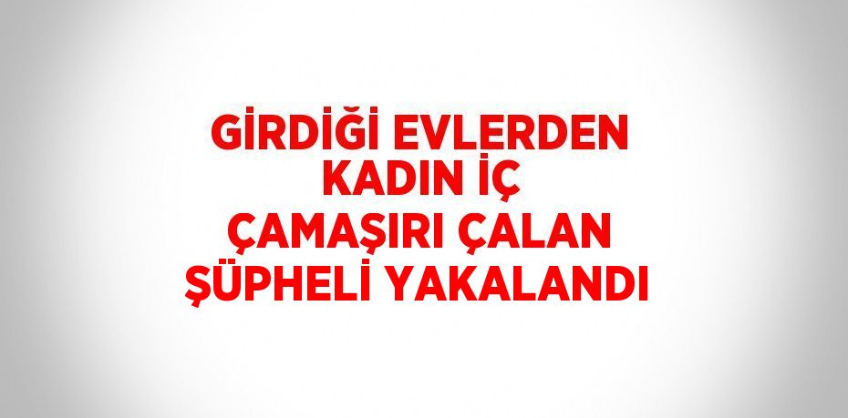 GİRDİĞİ EVLERDEN KADIN İÇ ÇAMAŞIRI ÇALAN ŞÜPHELİ YAKALANDI